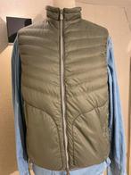 Brunello Cucinelli Bodywarmer, Ophalen of Verzenden, Zo goed als nieuw, Groen