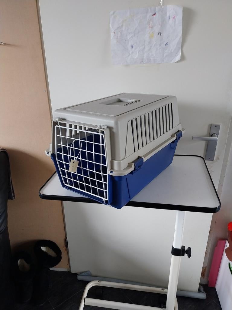 Leuke katten vervoers koffer nr 679, Ophalen of Verzenden, Gebruikt