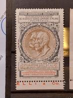 Italië Cinderella Sluitzegel - Politecnico di Milano 1915, Ophalen of Verzenden, Gestempeld