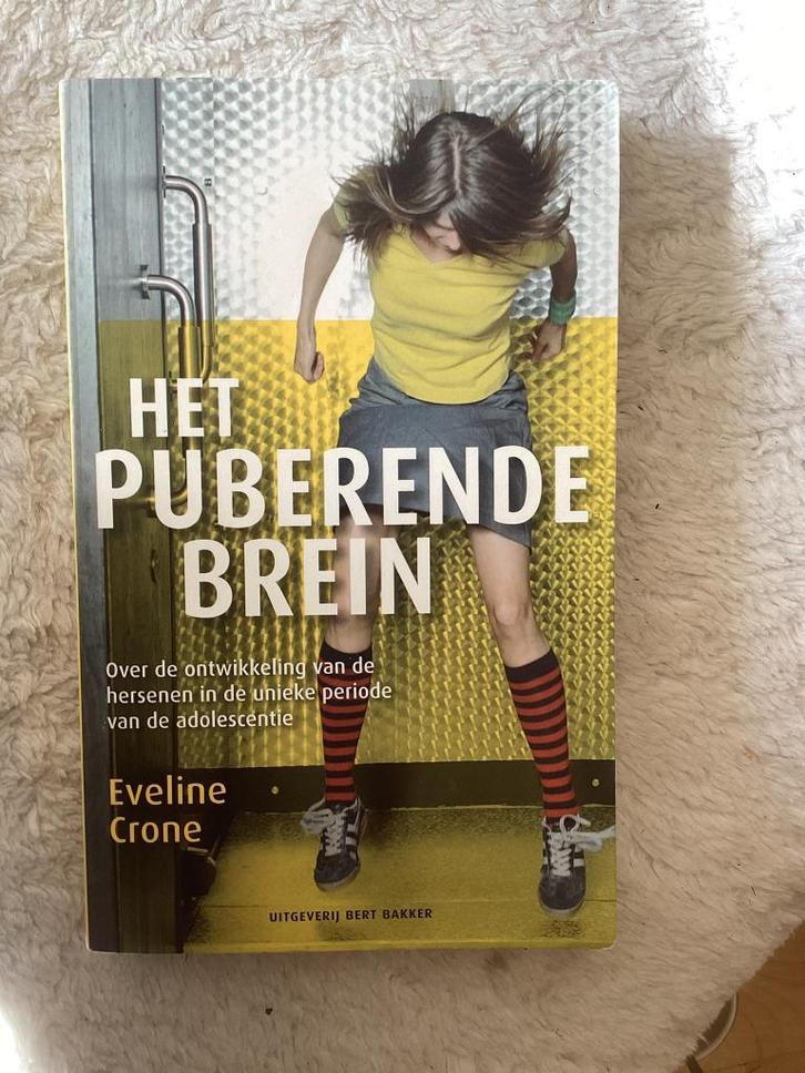 Eveline Crone - Het puberende brein, Boeken, Psychologie, Nieuw, Ontwikkelingspsychologie, Ophalen of Verzenden