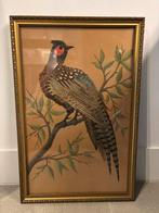 Victoriaanse Fazant in Lijst (echte veren!), Ophalen of Verzenden