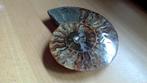 Fossiel Ammonite  ca 400miljoen jaar, Ophalen of Verzenden, Fossiel