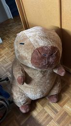 Hele grote Capybara met schildpad rugzak, Kinderen en Baby's, Speelgoed | Knuffels en Pluche, Ophalen of Verzenden, Nieuw, Overige typen