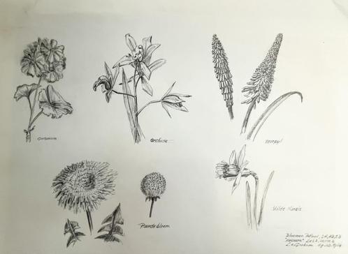 Louis van Gorkum - bloemenstudie I  1984 46x57, Antiek en Kunst, Kunst | Schilderijen | Klassiek, Ophalen of Verzenden