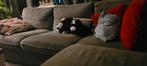Gratis af te halen; Ikea Kivik Hoekbank 4-persoons op 16 nov, 250 tot 300 cm, Gebruikt, Hoekbank, 75 tot 100 cm