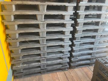 16 gebruikte kunststof pallets 100 x 120cm beschikbaar voor biedingen