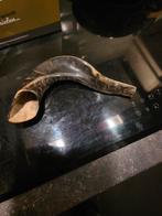 Gepolijste Ramshoorn - Authentiek Joods Blaasinstrument, Ophalen of Verzenden, Gebruikt, Overige soorten