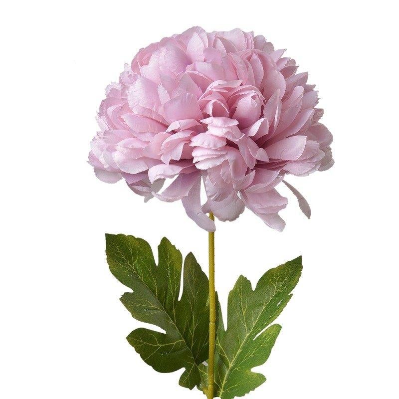 CLAYRE & EEF BOLCHRYSANT - KUNST - ROOD & LILAROZE