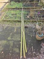 3 knotwilgen takken, 3 meter lang, 14 tot 12 cm omtrek, Ophalen, Volle zon, Overige soorten