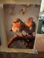 Schilderijtjes van mooie vogels, Ophalen