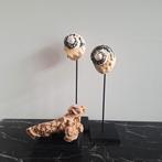 Sfeervolle set  ruwe schelpen ornament met woestijnroos, Huis en Inrichting, Woonaccessoires | Overige, Ophalen of Verzenden, X