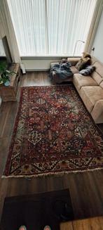 Perzisch Tapijt - Handgeknoopt, Ophalen, Gebruikt, Perzisch, 200 cm of meer