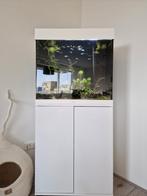 Kompleet lido 120 led, Dieren en Toebehoren, Ophalen, Zo goed als nieuw, Gevuld zoetwateraquarium