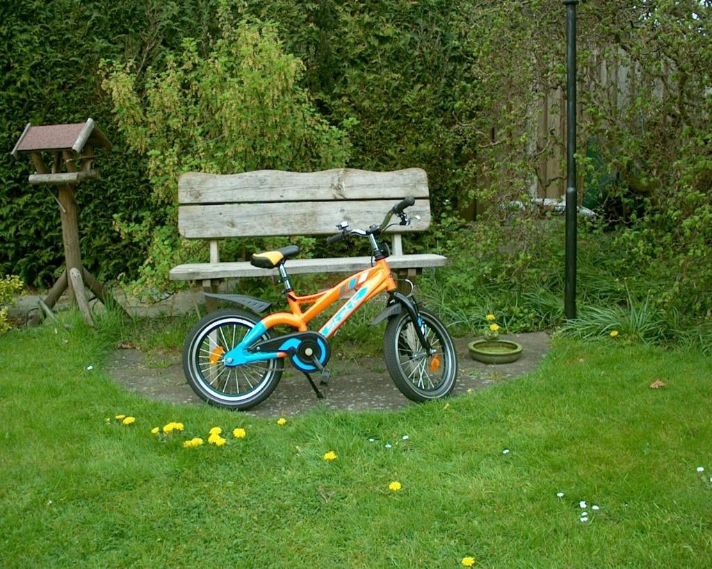 STOERE/SPORTIEVE JONGENSFIETS, Ophalen, Velgrem, Static, 16 inch