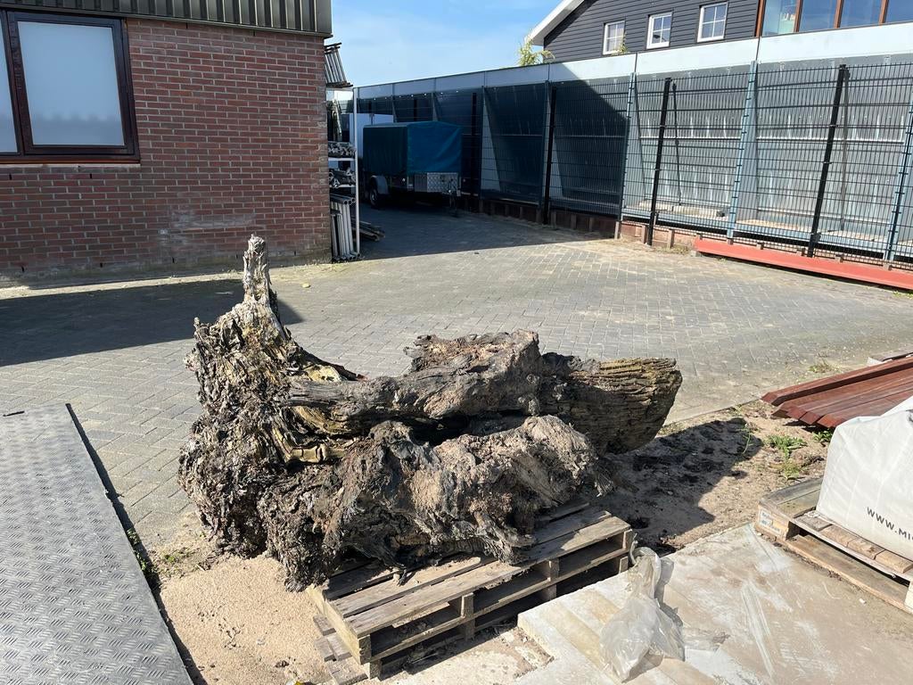 Grote oude boomstronk, Ophalen, Gebruikt