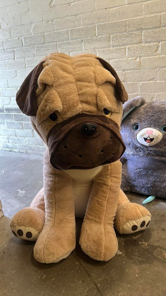 Mopshond knuffel GRATIS, Ophalen, Zo goed als nieuw, Hond