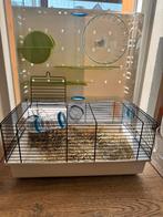 Ferplast dwerghamster kooi, Dieren en Toebehoren, Kooi, Minder dan 75 cm, Zo goed als nieuw, Muis