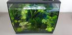 FLUVAL FLEX AQUARIUM 34L, Ophalen, Gebruikt, Leeg aquarium