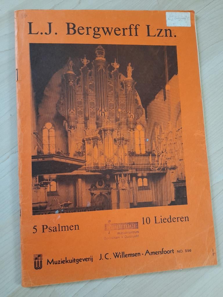 5 PSALMEN 10 LIEDEREN LJ Bergwerff Lzn No 556, Ophalen of Verzenden, Gelezen, Overige onderwerpen