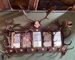 Enorme kapstok met geweistangen edelhert damhert jagen, Gebruikt, 100 tot 150 cm, Hout, Ophalen