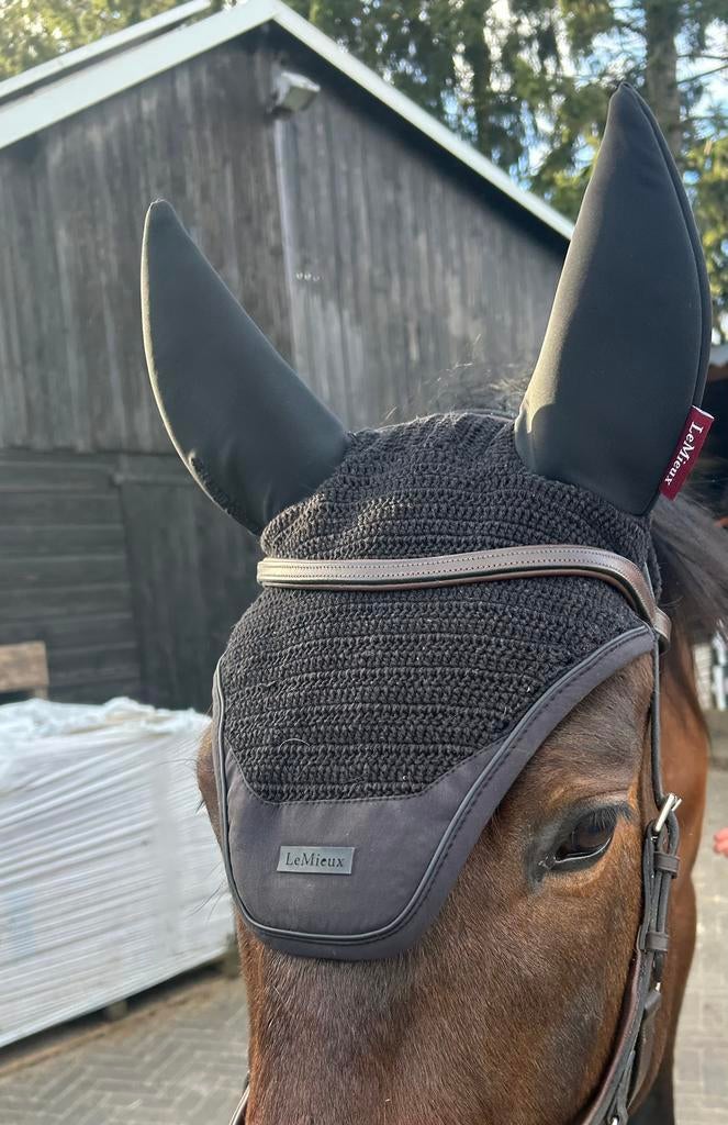 lemieux oornetje zwart, Ophalen of Verzenden, Zo goed als nieuw, Dressuur