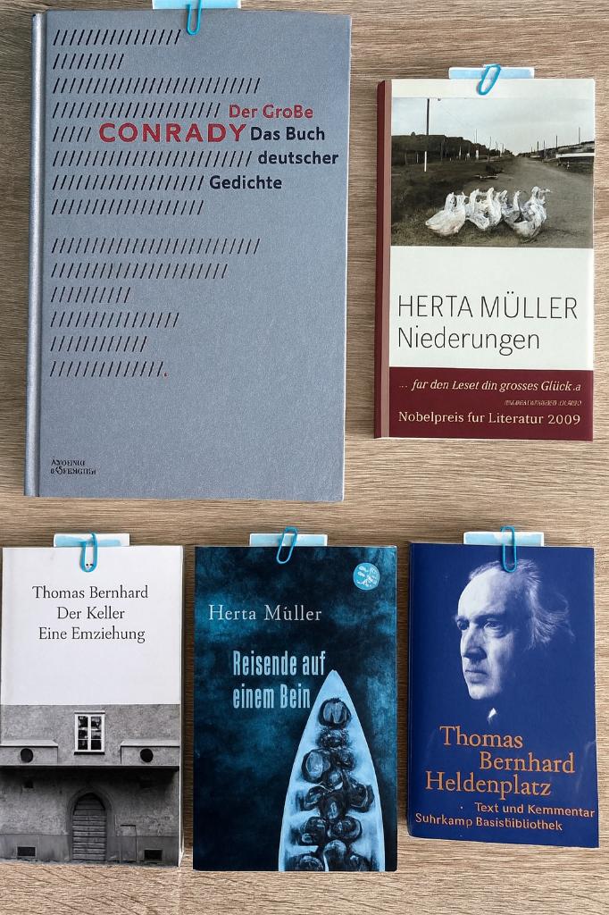 Duitse leesboeken – Deutschsprachige Literatur nach 1945, Ophalen of Verzenden, Zo goed als nieuw, Diverse auteurs