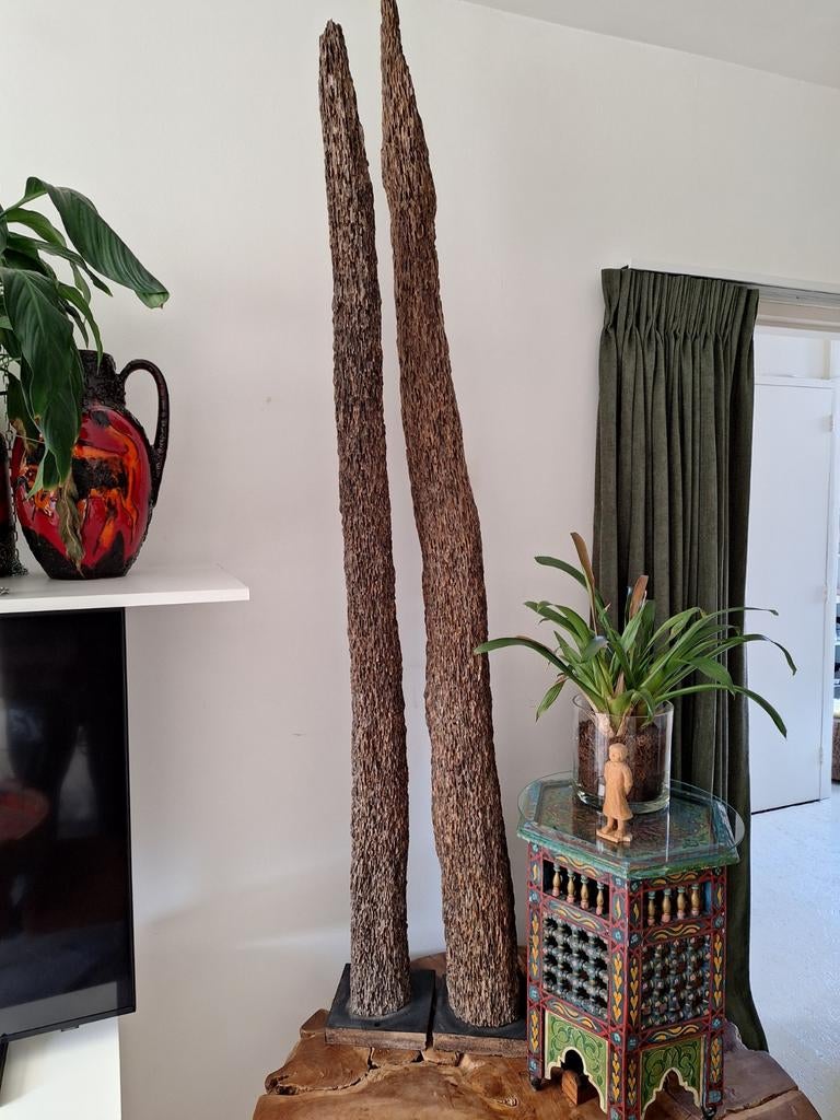 Termieten palen., Ophalen