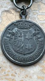 Schaats medaille SCHAATS TOCHT BAARDERADEEL IJSCENTRALE, Ophalen of Verzenden, Overige materialen