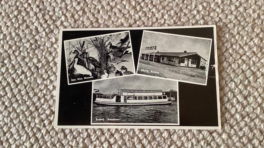 Ansichtkaart Elburg Rederij Randmeer   937, Ophalen of Verzenden, 1940 tot 1960, Ongelopen, Gelderland