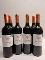 wijn, Verzenden, Nieuw, Vol, Overige typen