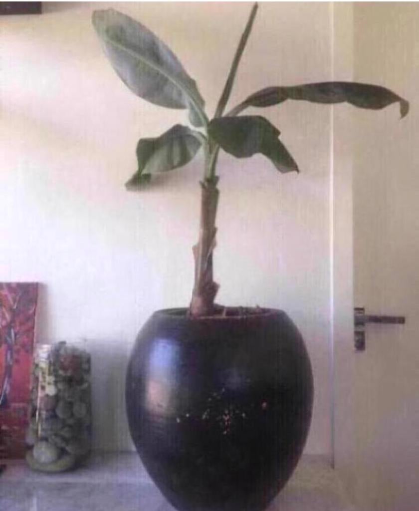 Grote zwarte terracotta bloempot vaas bol handwerk 36cm, Tuin en Terras, 25 tot 40 cm, Gebruikt, Rond, Binnen