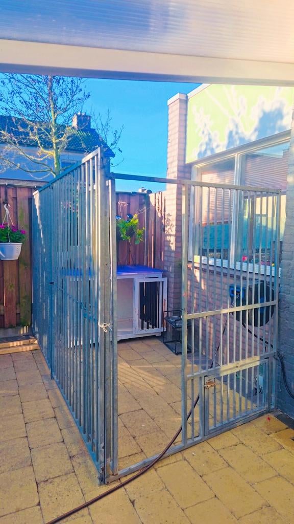 Modulaire Gegalvaniseerde Hondenren Verstelbaar, Tuin en Terras, Ophalen, Met poort, Spijlenhekwerk, Zo goed als nieuw