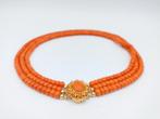 Bloedkoralen ketting met gouden slot, 37-42 cm, Verzenden, Goud, Ketting