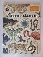 Animalium | Jenny Broom & Katie Scott | Hardcover, Jenny Broom, Ophalen of Verzenden, Zo goed als nieuw, Overige onderwerpen