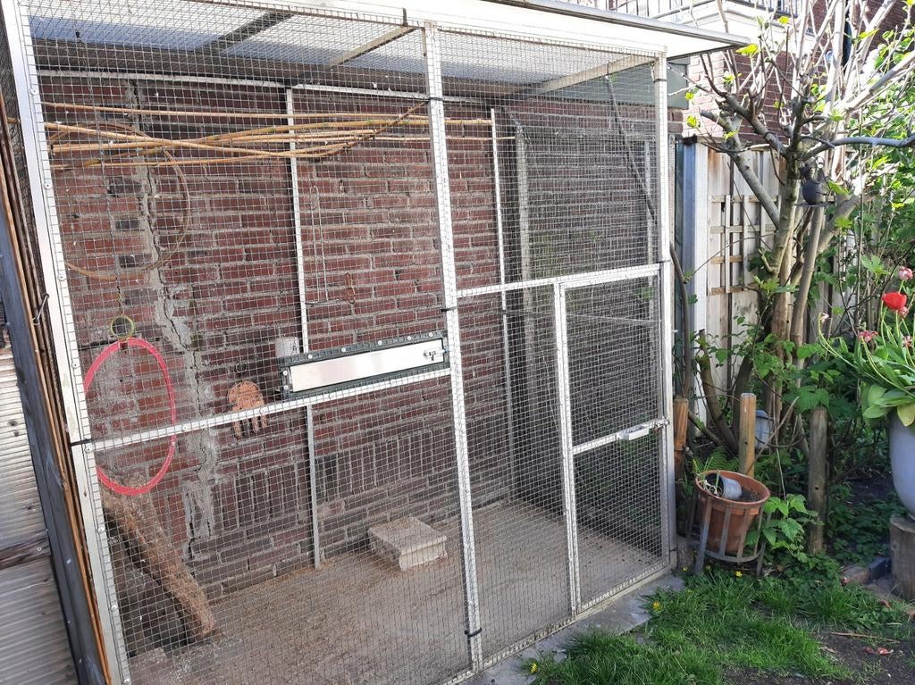 Volière evt met nachthok., Dieren en Toebehoren, Vogels | Hokken en Kooien, Gebruikt, Volière, Hout, Ophalen of Verzenden