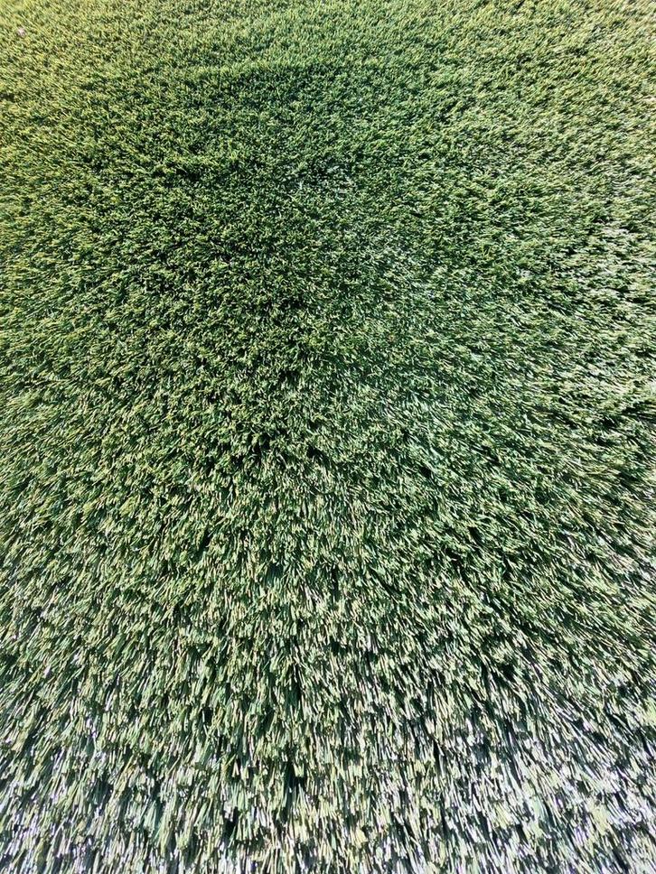 Nieuw kunstgras 4x8, Tuin en Terras, Gras en Kunstgras, Zo goed als nieuw, 20 m² of meer, Ophalen of Verzenden