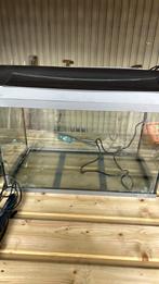 Aquarium met toebehoren, Dieren en Toebehoren, Ophalen, Gebruikt, Leeg aquarium