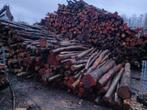 Haardhout brandhout kachelhout rondhout, 6 m³ of meer, Ophalen of Verzenden, Berkenhout, Stammen