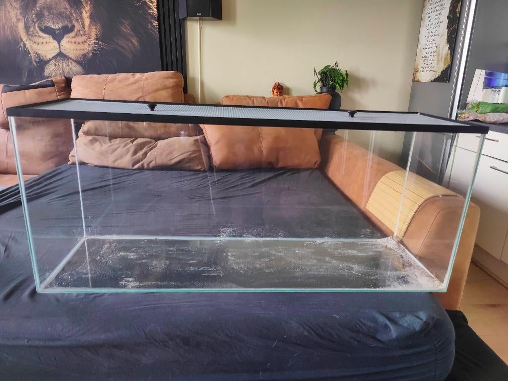 Groot Terrarium 120 x 50 x 50, Dieren en Toebehoren, Reptielen en Amfibieën | Toebehoren, Ophalen, Zo goed als nieuw, Terrarium of Paludarium