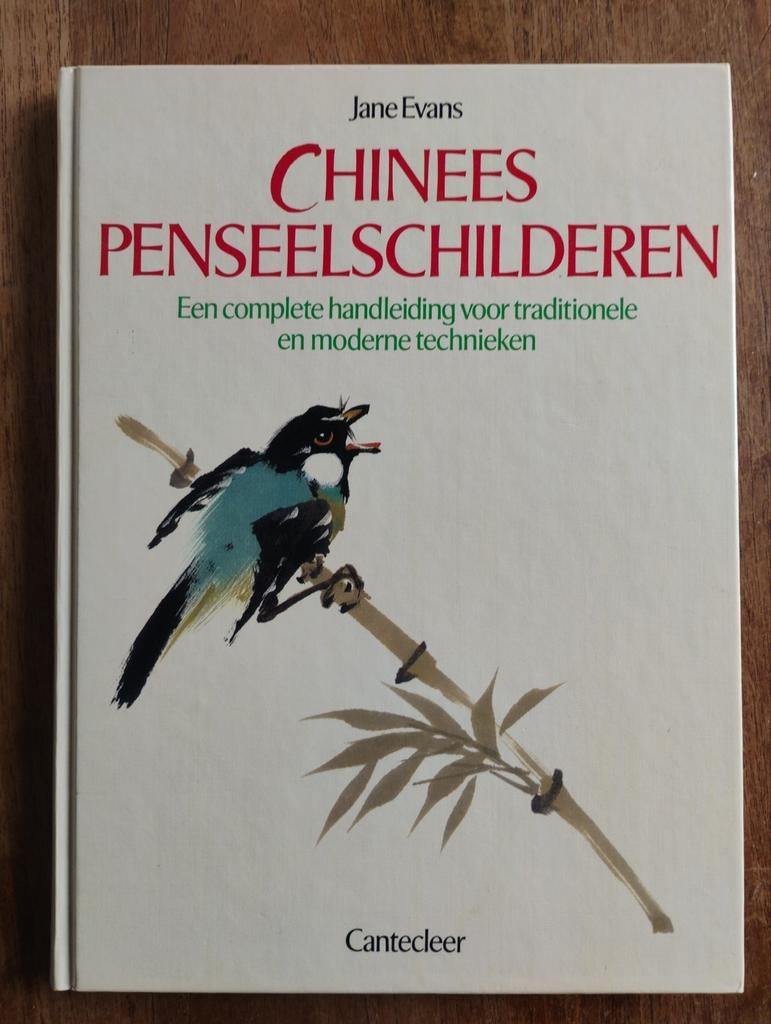 Chinees Penseelschilderen - Jane Evans, Boeken, Kunst en Cultuur | Fotografie en Design, Zo goed als nieuw, Overige onderwerpen