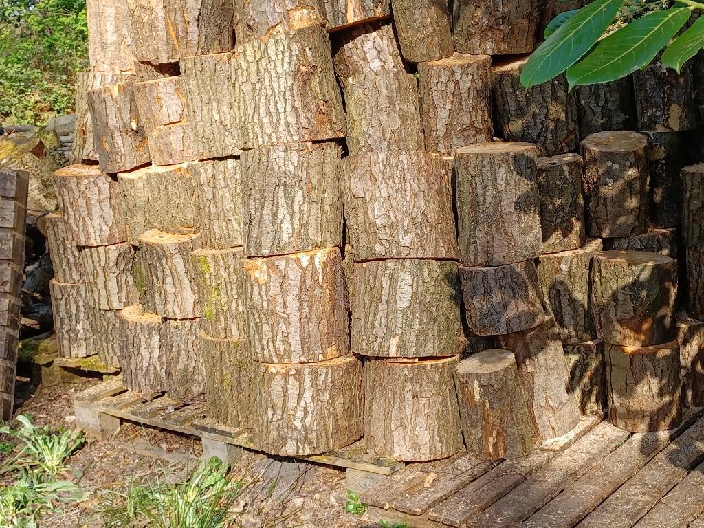 Openhaardhout mooie blokken van ca. 25 cm hoog, Tuin en Terras, Haardhout, 3 tot 6 m³, Ophalen, Elzenhout, Blokken