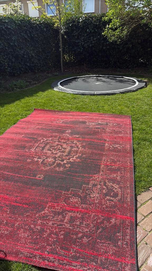Tapijt black - wildberry red 200 x 290, Ophalen, Zo goed als nieuw, Rechthoekig, 200 cm of meer