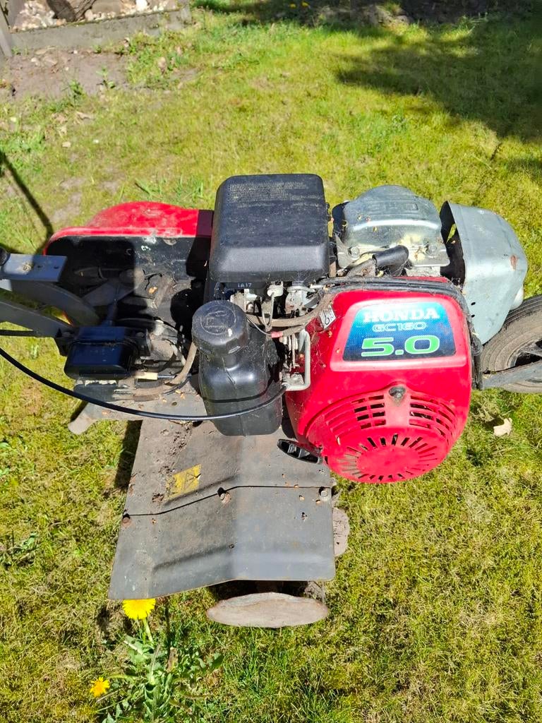 Tuinfrees honda, Ophalen, Gebruikt, Benzine