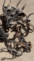 aantal spoortjes, Dieren en Toebehoren, Ophalen of Verzenden, Gebruikt, Overige soorten