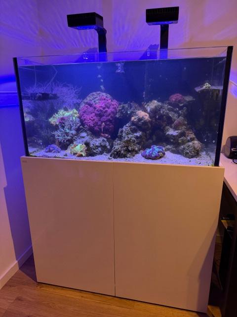 Aquaja 400 zee-reef zee- aquarium met meubel en toebehoren, Dieren en Toebehoren, Ophalen, Gevuld zeewateraquarium, Inclusief deksel