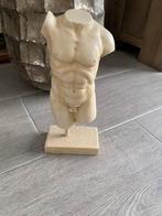 Decoratieve Buste van een Man - Klassieke Torso, Buste, Ophalen of Verzenden, 20 - 50 cm, Op sokkel