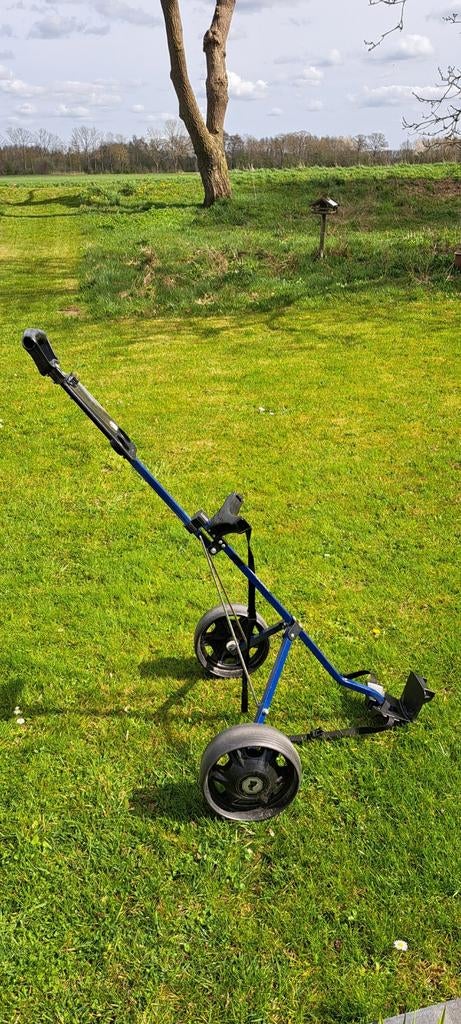 Golfkar, Sport en Fitness, Golf, Ophalen of Verzenden, Gebruikt, Golfkar, Overige merken