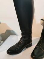 Derby rijlaarzen maat 42, Dieren en Toebehoren, Paardrijkleding, Ophalen, Dressuur, Schoeisel