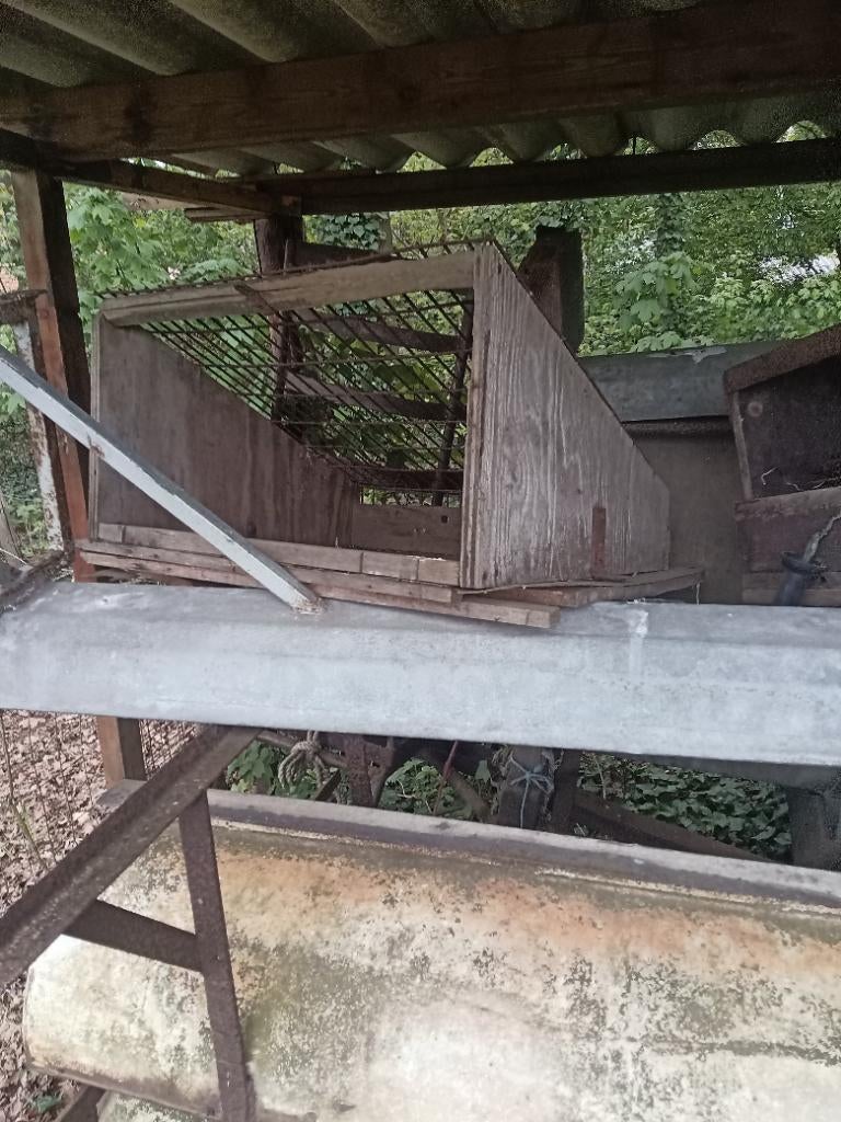 Voerbakken, Dieren en Toebehoren, Schapen, Geiten en Varkens, Meerdere dieren, Schaap