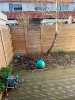 Schutting, Ophalen, 6 meter of meer, Hout, 1 tot 2 meter